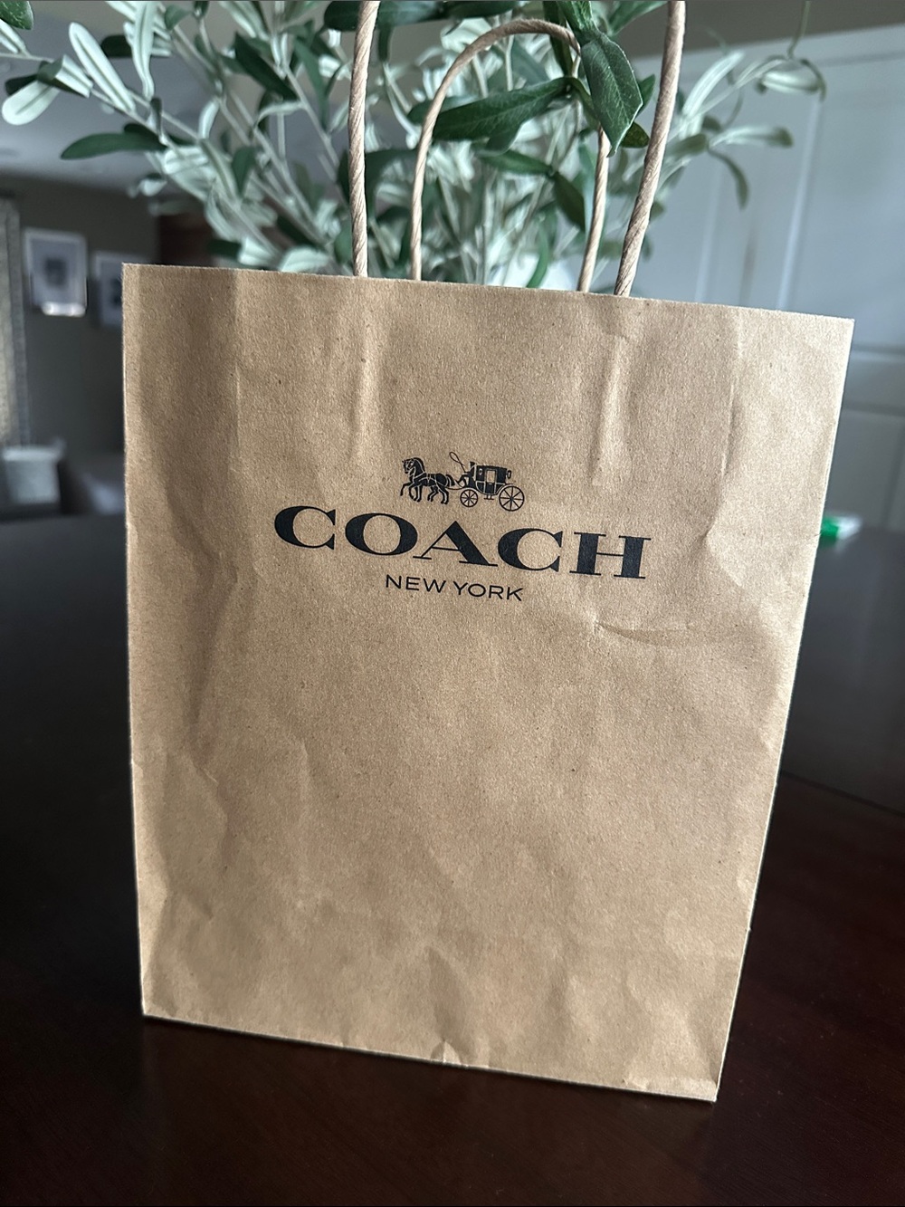 Coach Brown Logo Paper Shopper Bag